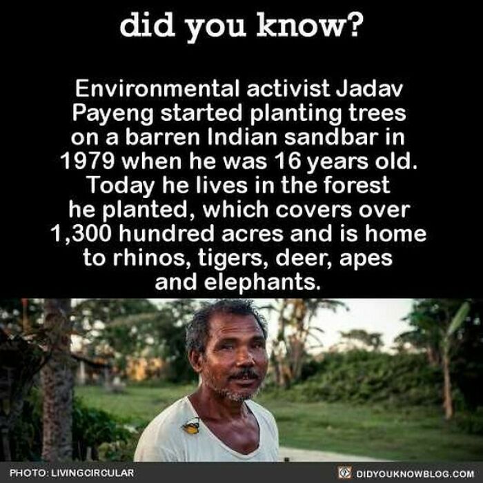 Interesting-Facts-Did-You-Know