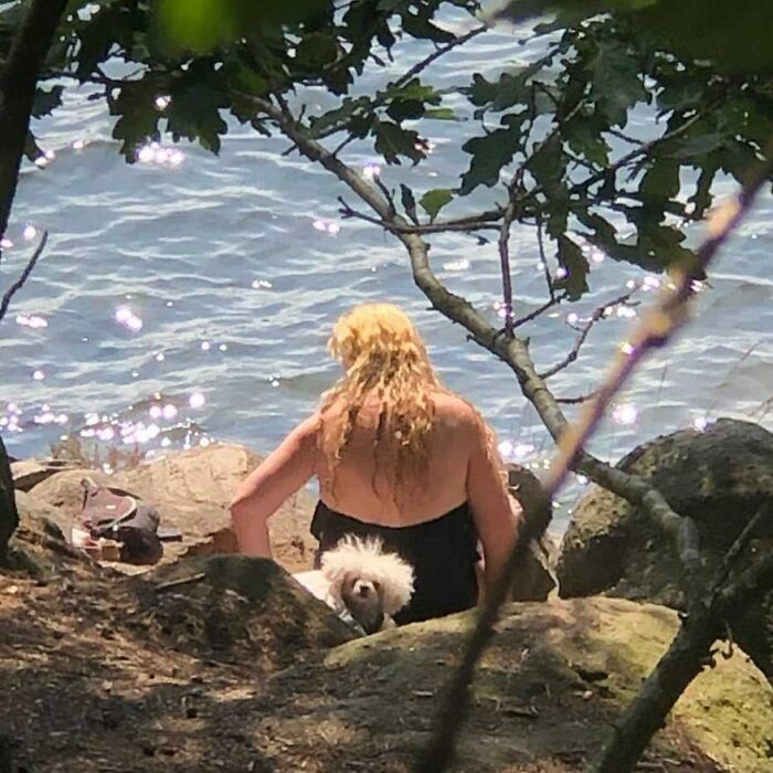 35 Funny And Adorable Dogs That Were Sneakily Photographed And Ended On Up On ‘Dogs Poorly Photographed’ IG Page