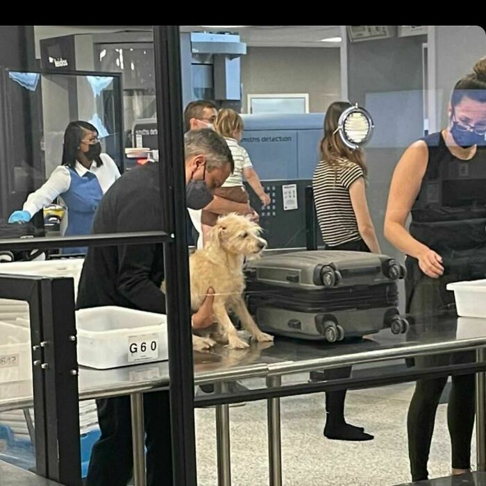 Poorly-Photographed-Dogs