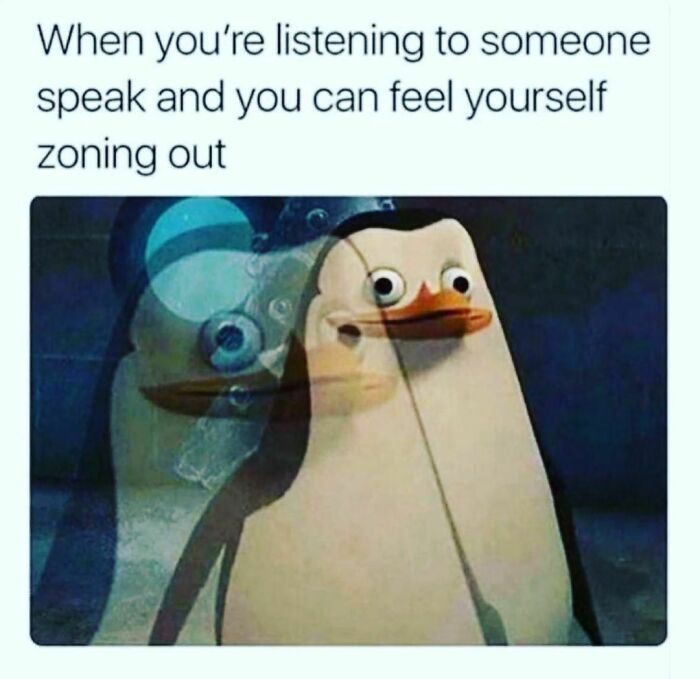 Penguin meme showing feeling zoned out while listening, relatable to introvert nation humor and social interaction struggles.