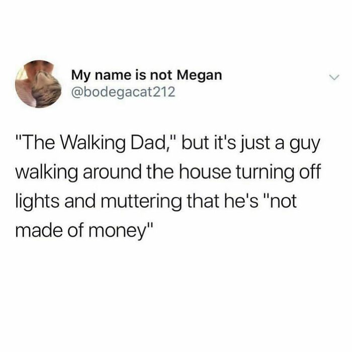 Funny-Dad-Memes-Raddad