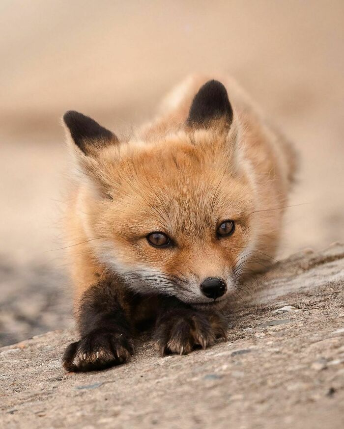 On Friday’s We Get Mani Pedis