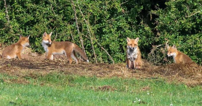 Taken From A Far Distance But Great To See This Morning