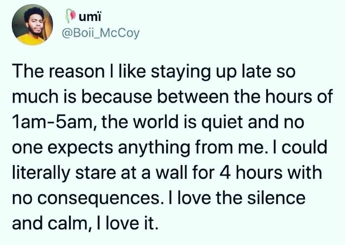 Text meme about enjoying late night silence and calm, relatable to introvert nation and introvert lifestyle.