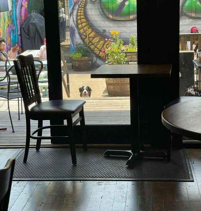 Order Enough To Share. 📸: @sketchforsummer