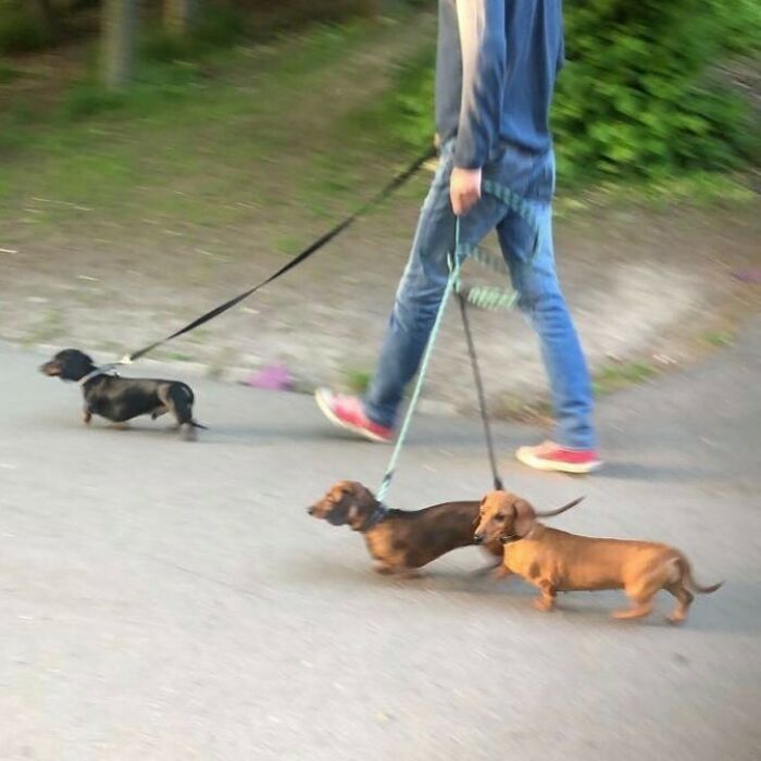 Magic Beans. 📸: @elsaengberg