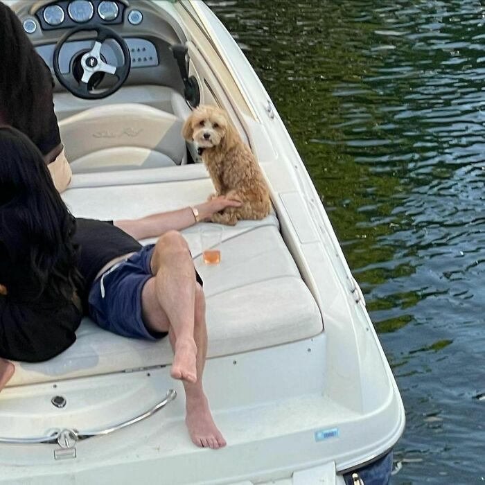 Poorly-Photographed-Dogs