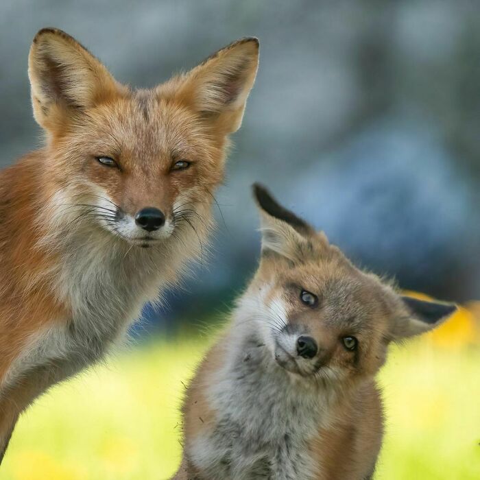 The Eyes Says It All!