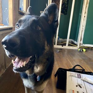 heatherthemenace avatar