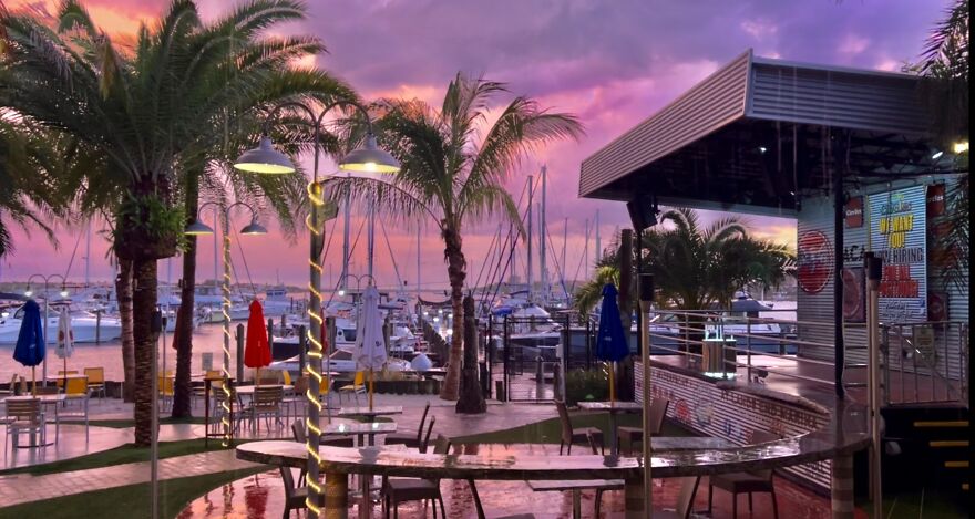 Circles, Apollo Beach