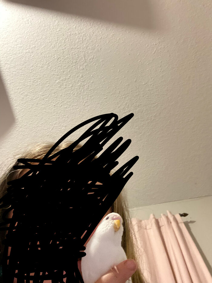 My Friend’s Albino Bird! :) (I Think It Is A Parakeet)