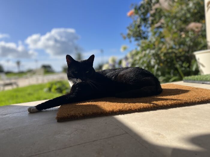 Come And Sit Right Here, With Me