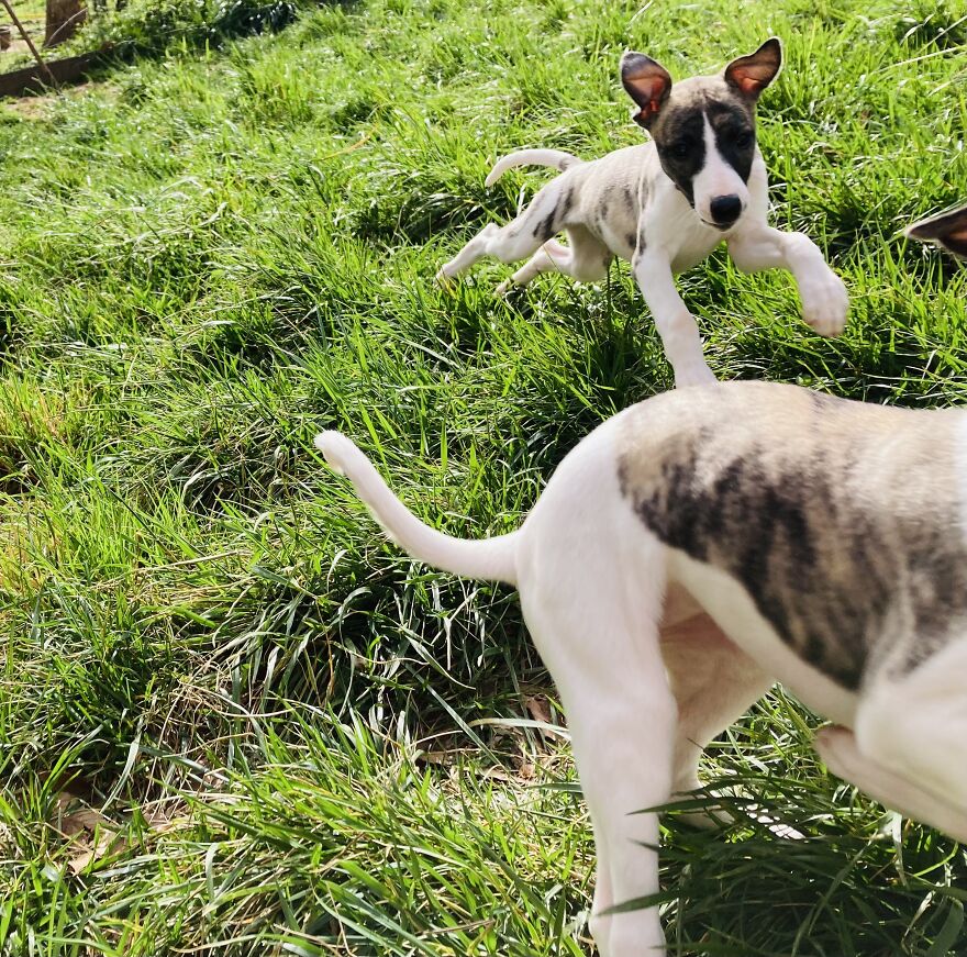 I’m Going To Get You!