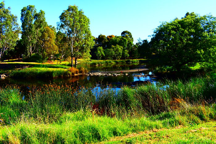 Not Long After I Got My First Dslr Camera.