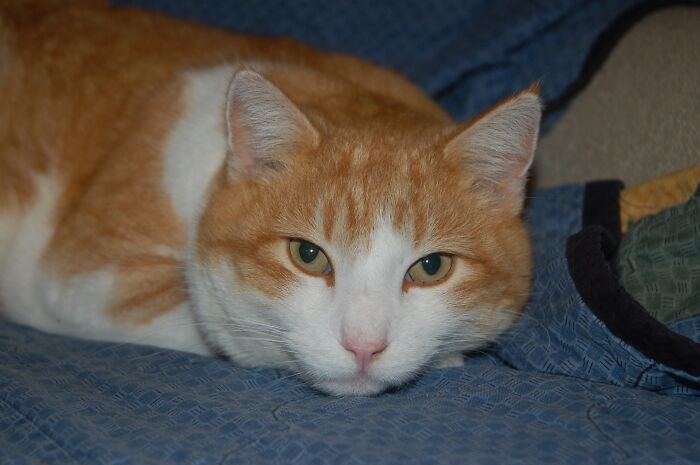 I Have A Lot Of Cute Pictures Of Him But I Love This One!