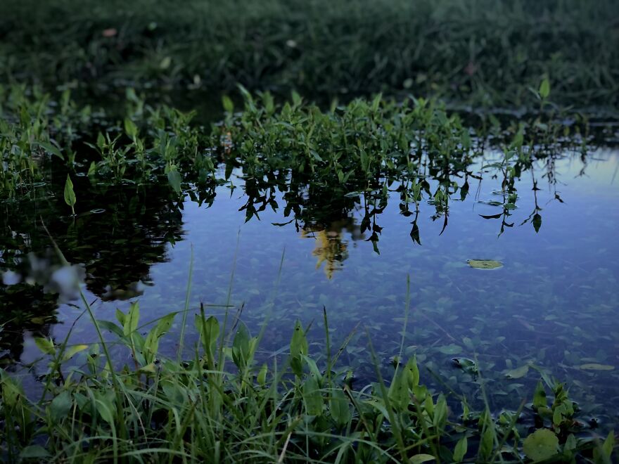A Puddle From Another Perspective