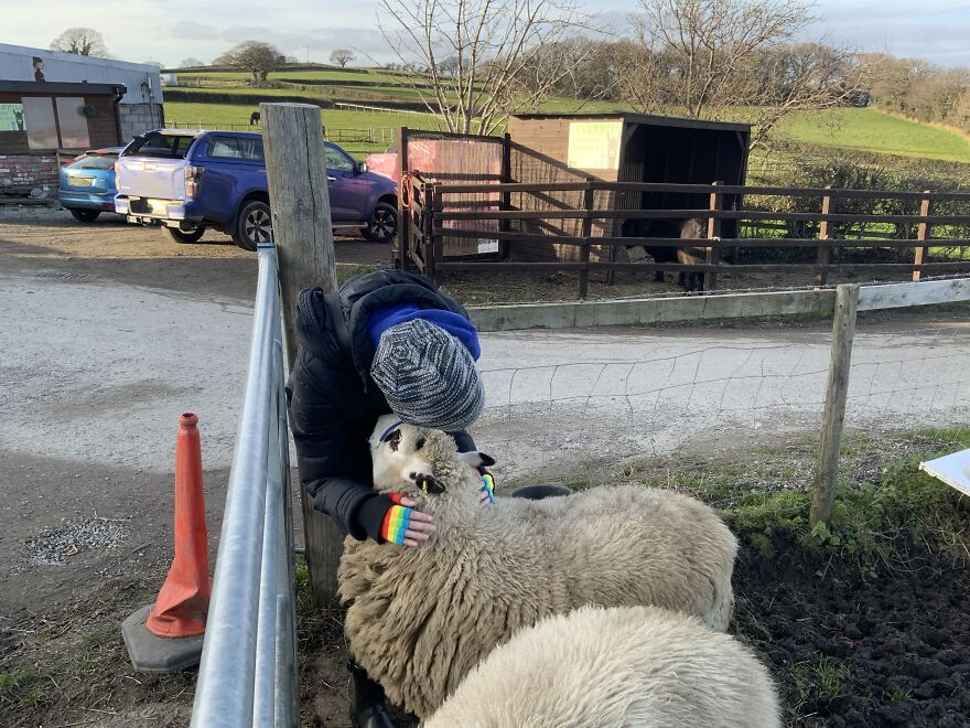 These Big Furballs Are The Twins, Theyre So Friendly And Come Running Up To You Like Excited Puppies And Nearly Knock You Over 😂