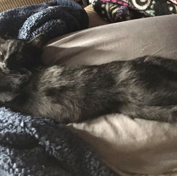 Look At A Me! Ima Pearl!