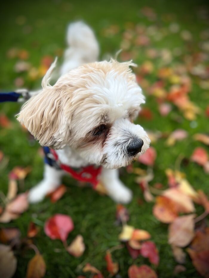 I Swear, I Am Not A Professional Photographer