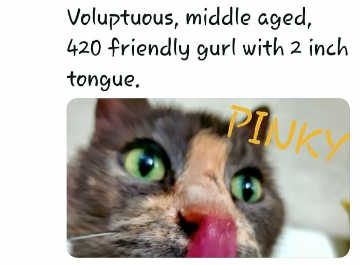 Looking For Tom Of Her Dreams! Any Takers?