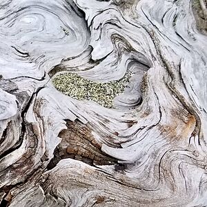 emily-mulheran avatar