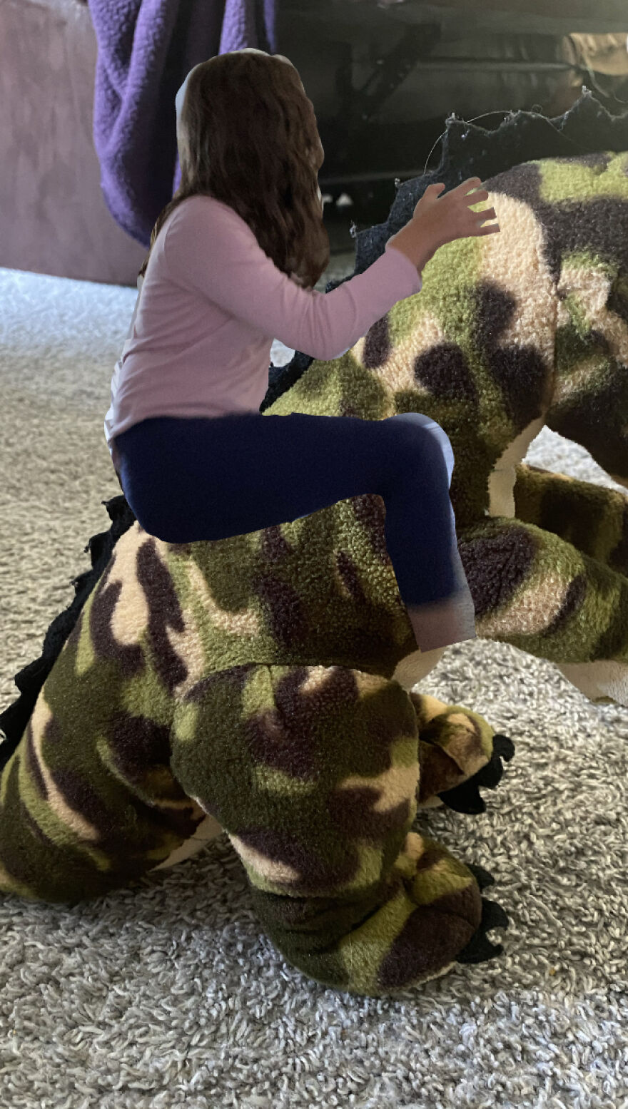 I Photoshopped My Family On Random Things!