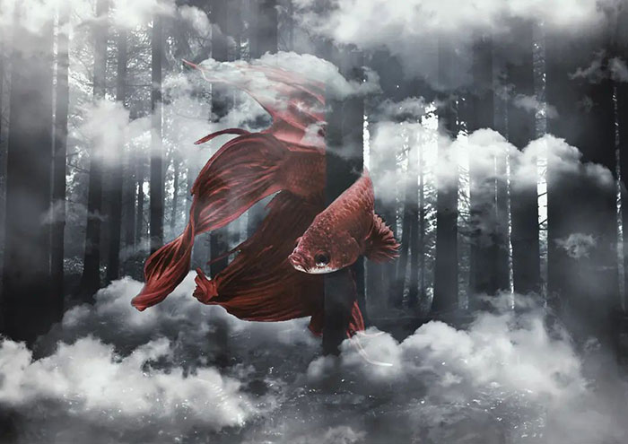 I Create Surreal Scenes In Photoshop