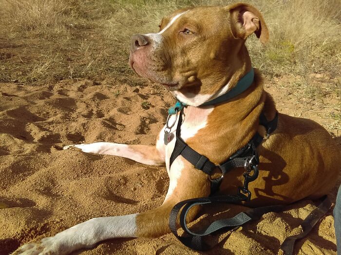 Must Be An Outdoorsy Type