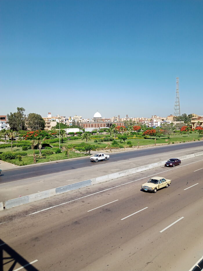 Noubaria, Egypt. Those Trees Grow Red Flowers Only In Summer