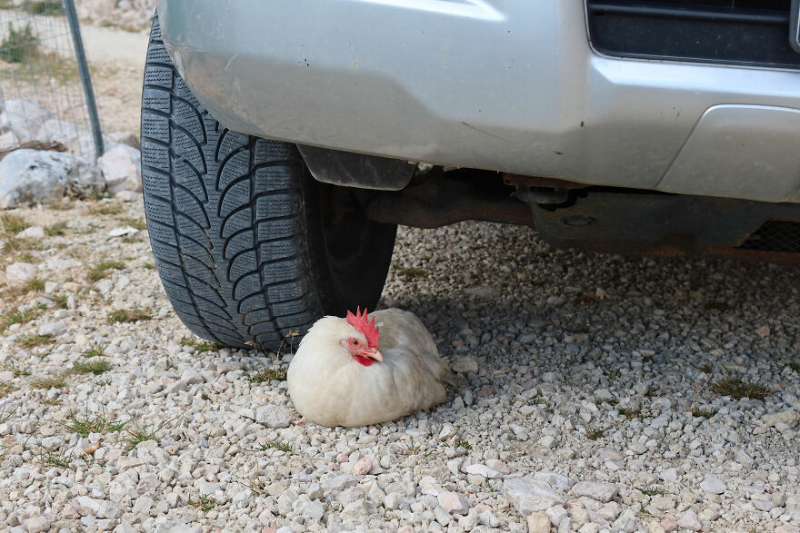 We Hiked The Italian Dolomitic Alps In 6 Days (31 Pics)