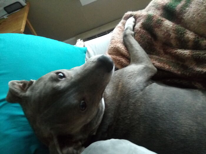 Good Morning Grae'son