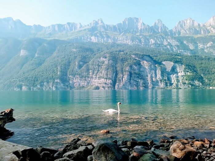 Beautyful But Cold Water