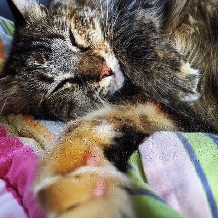 Tired Of Sleeping Alone. Are You The One For Me?