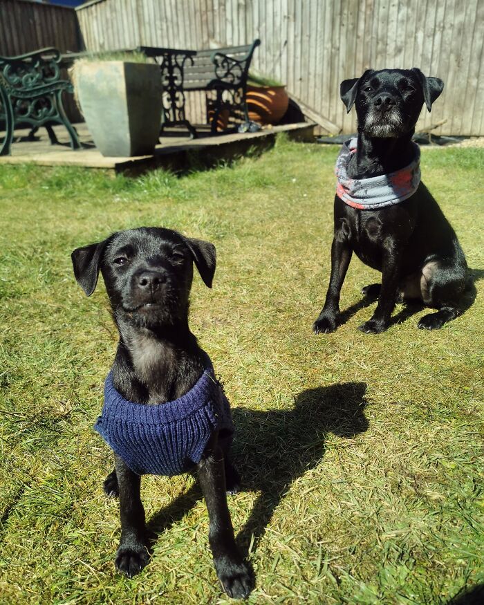 Two For The Price Of One (Charlie And Busa)