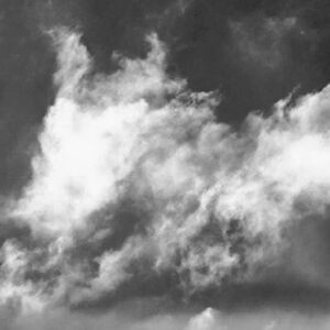 elmarobichaux avatar