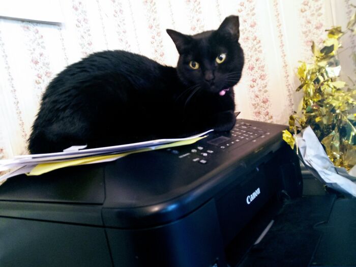 Small Girl With Big Heart