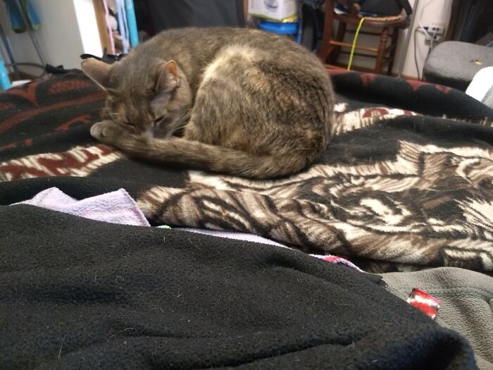 Love Going Places, Even When I Shouldn't. Only Contact Me If You Can Put Up With Noise