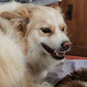 erinjgibsontaylor avatar