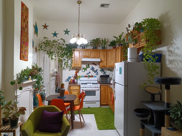 My Apartment Slowly Being Turned Into A Jungle