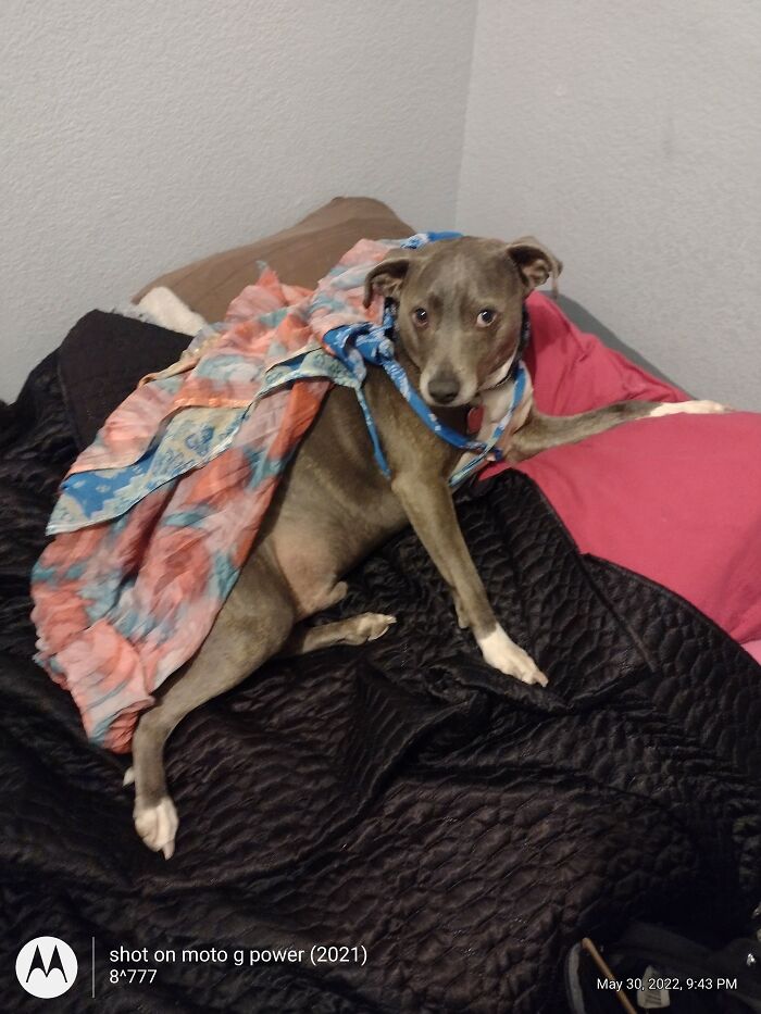 Blackmail Photo Of Grae'son 😂