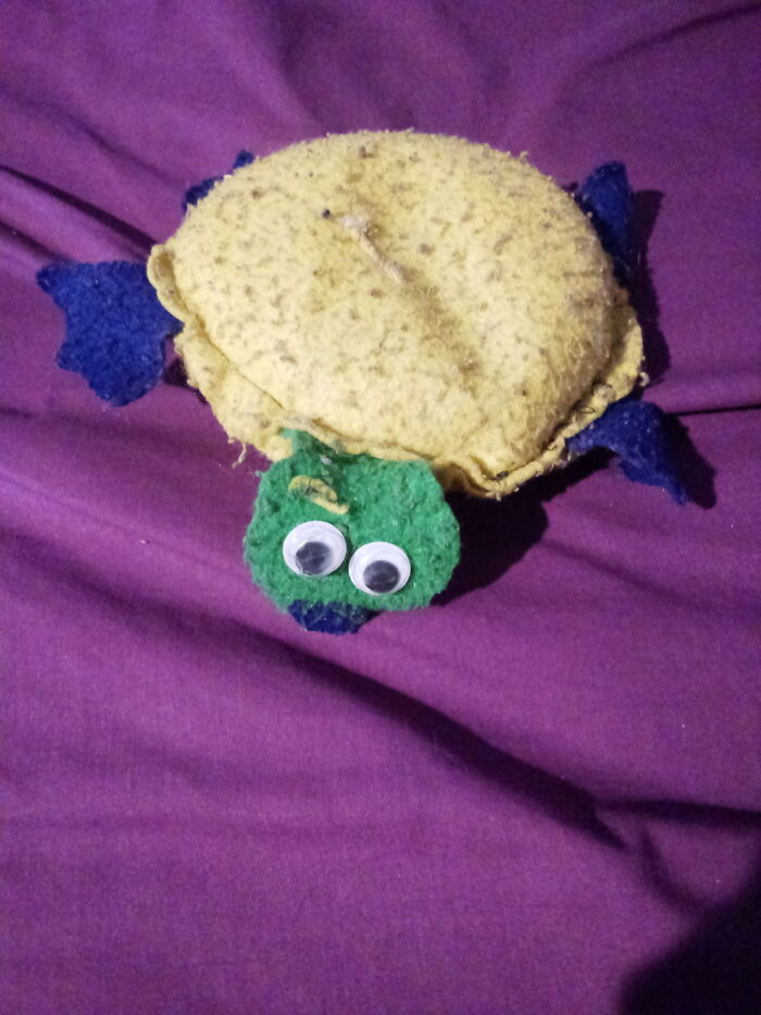 Turtle, The Stuffed Turtle