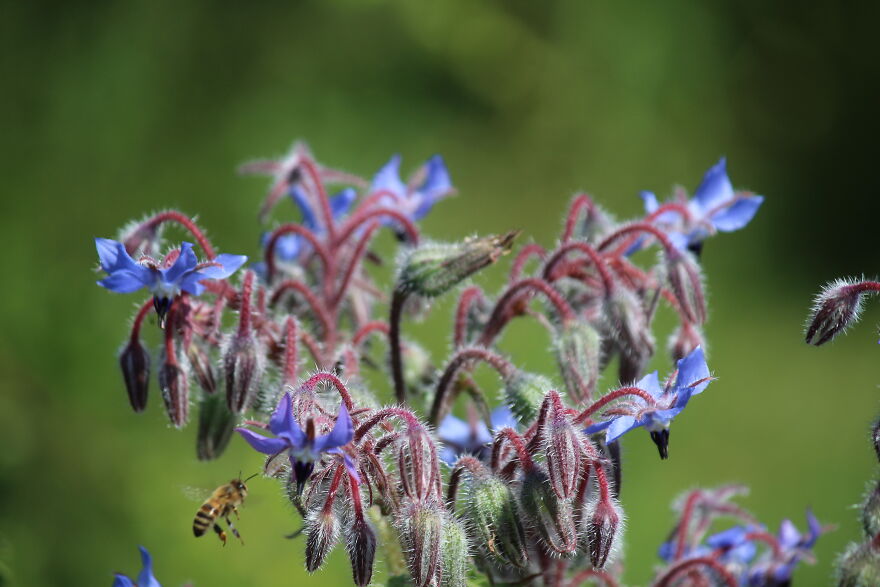Uploading For A Friend: We Went To A Garden Together And They Took This Amazing Photo.