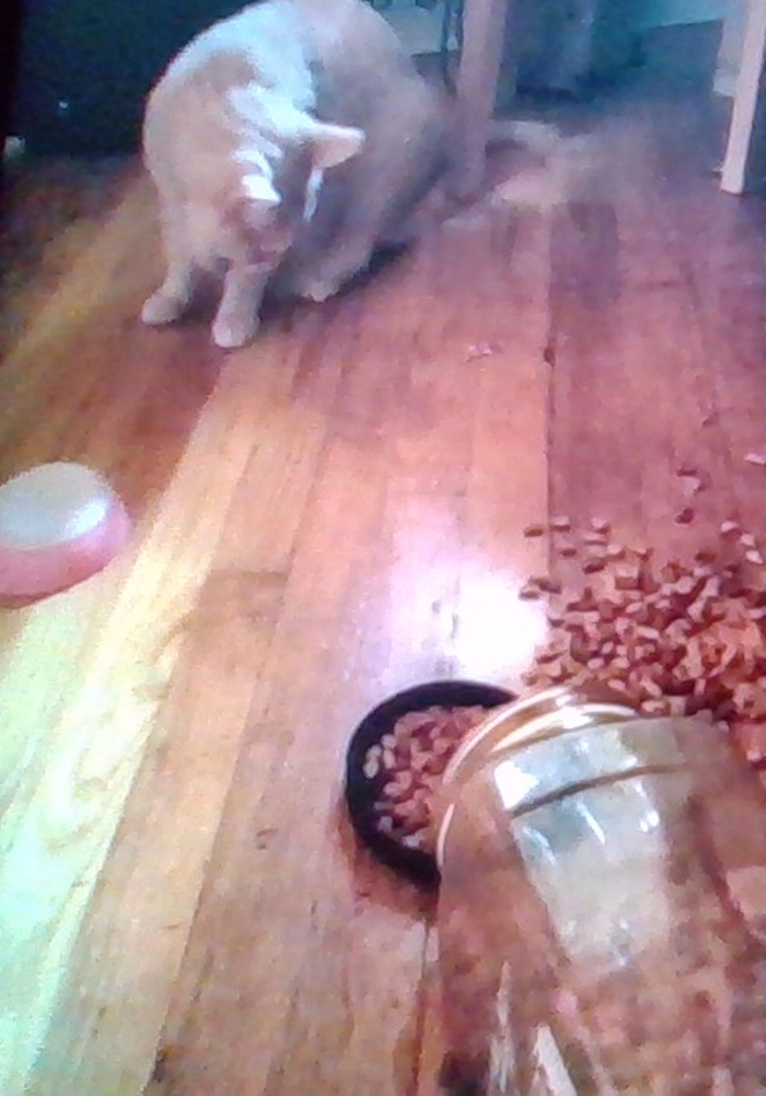 That's Right Girls I'm A Bad Boy