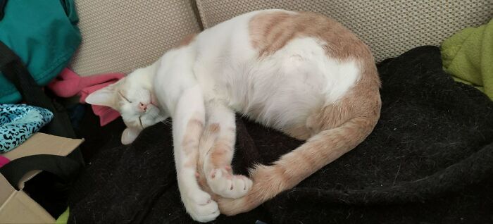 You Might Be My Missing Part ♡ Let's Check How We Mesh Together