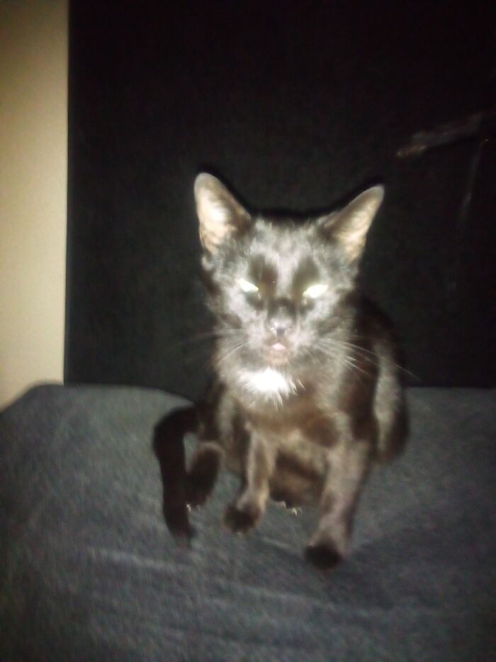 Yeah I Know I Have High Cheek Bones 💞💞