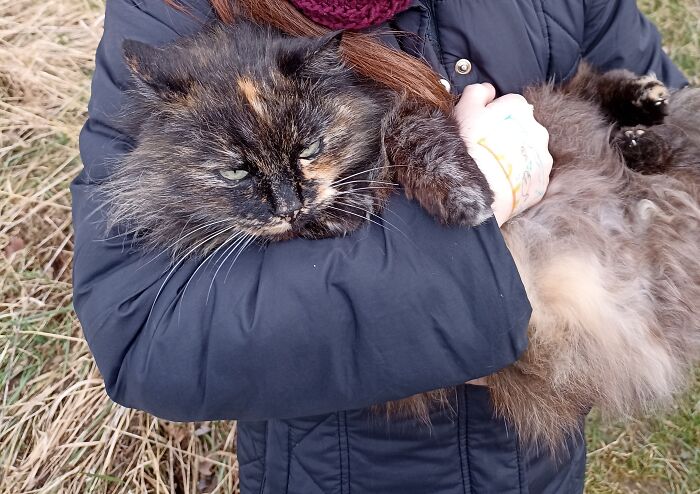 Hey Handsome, I'm Craufurd (11 F) Looking For A Man To Share My Cardboard Box. 😘