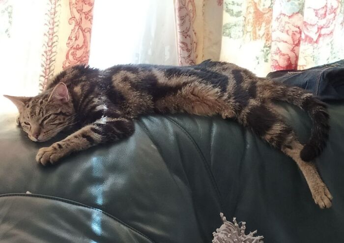 Wanna Hang Around With Meow? :)