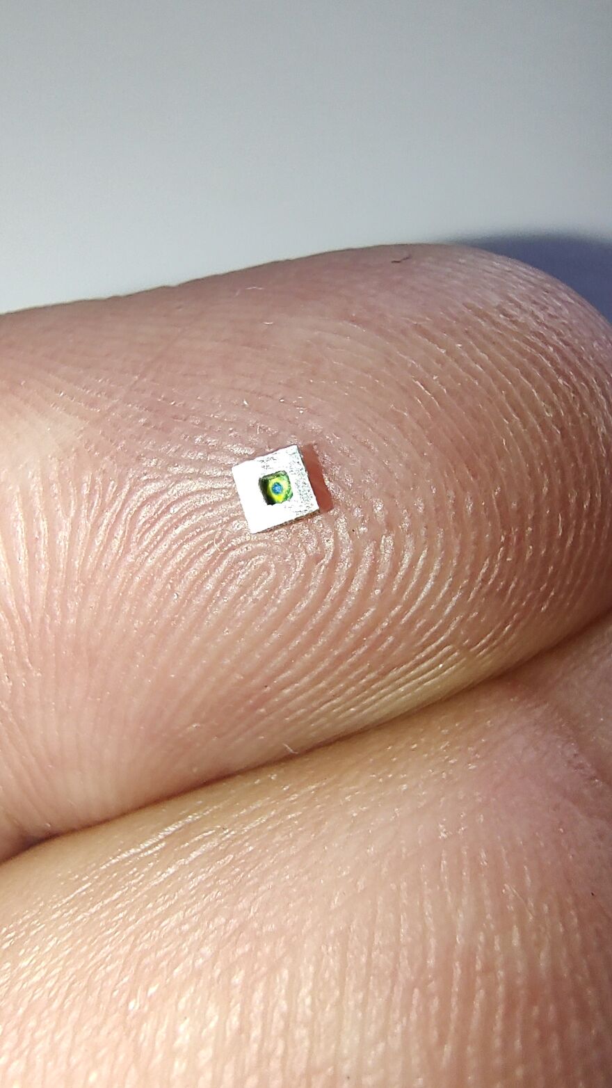 The Smallest Paintings In The World.