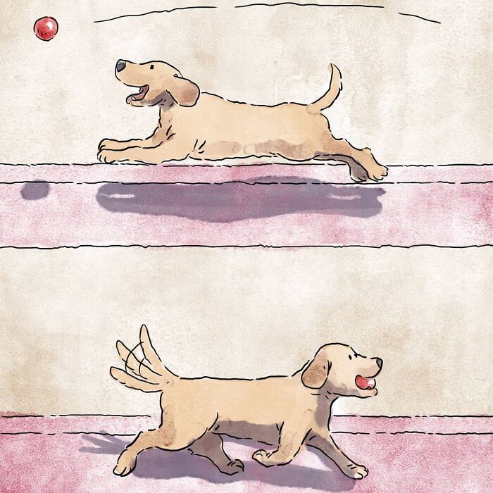 Este artista crea 3 emotivos cómics sobre la vida con un gato y un perro inspirados en sus experiencias personales