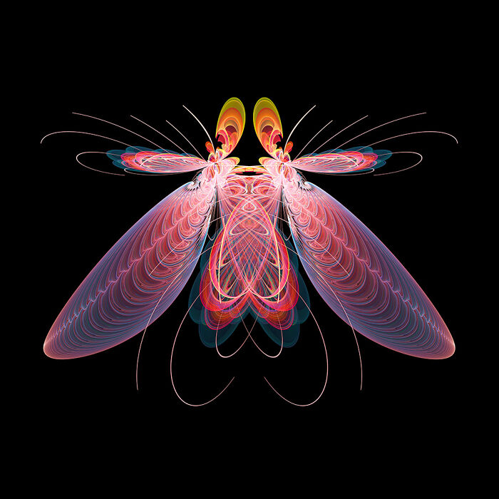 Insect Art Made With Fractals (12 Pics)